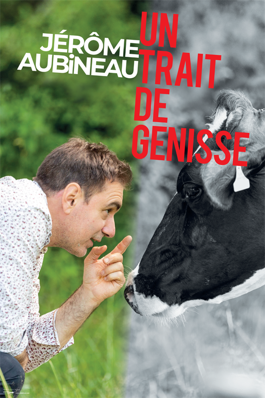 Un trait de Génisse_visuel